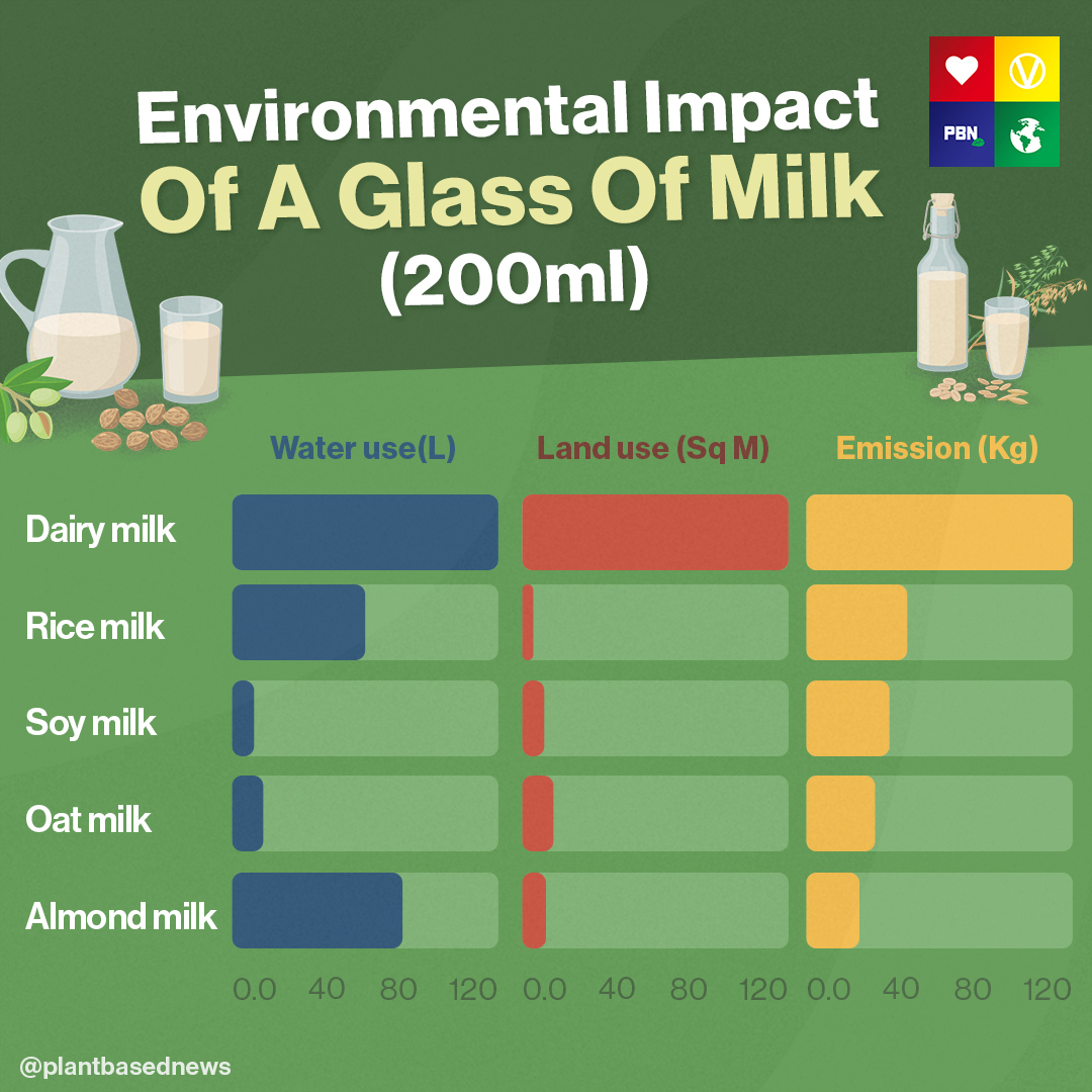 Potato Milk The Best PlantBased Dairy Option For The Environment?