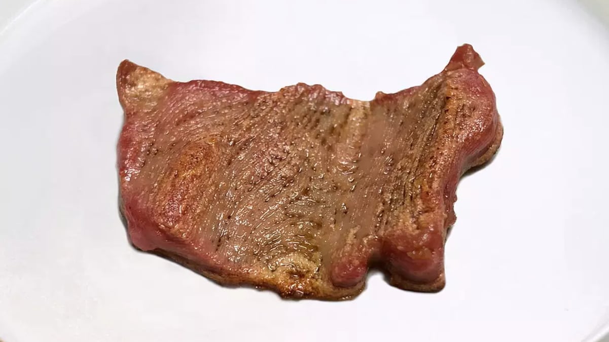 Novameat is planning on expanding its plant-based 3D-printed steaks to consumers and restaurants since launching its technology three years ago