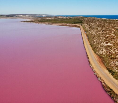 Pollution From Fish Factory Turns Lake In Argentina Neon Pink