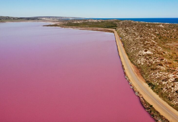 Pollution From Fish Factory Turns Lake In Argentina Neon Pink