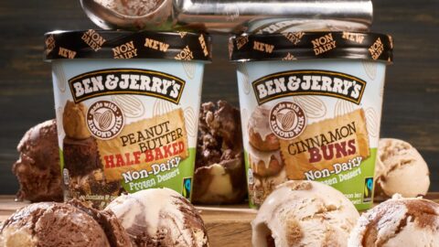 The Ultimate Guide To Ben And Jerry’s 21 Non-Dairy Flavors - Plant ...