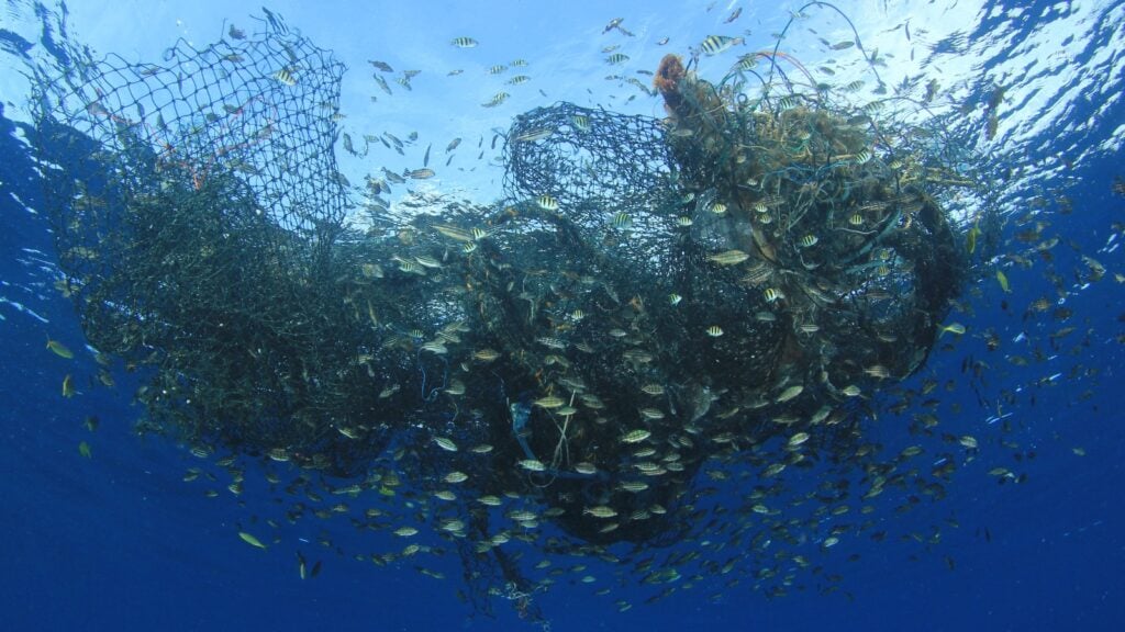 Discarded fishing nets in the ocean surrounded by marine life