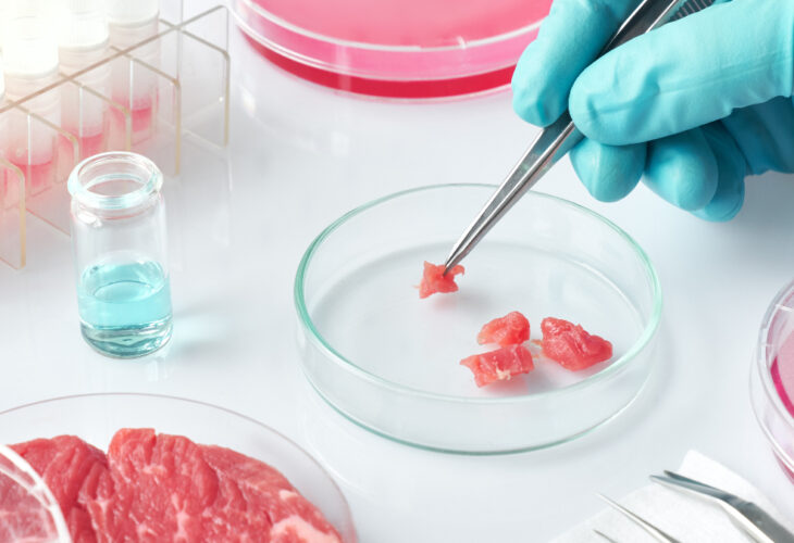 Nestlé is debuting in cell-cultured meat