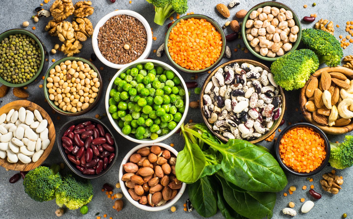 Sources Of Proteins