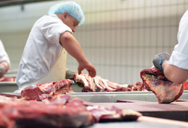 An investigation has revealed 'shocking' animal abuse on a government-approved slaughterhouse in the UK