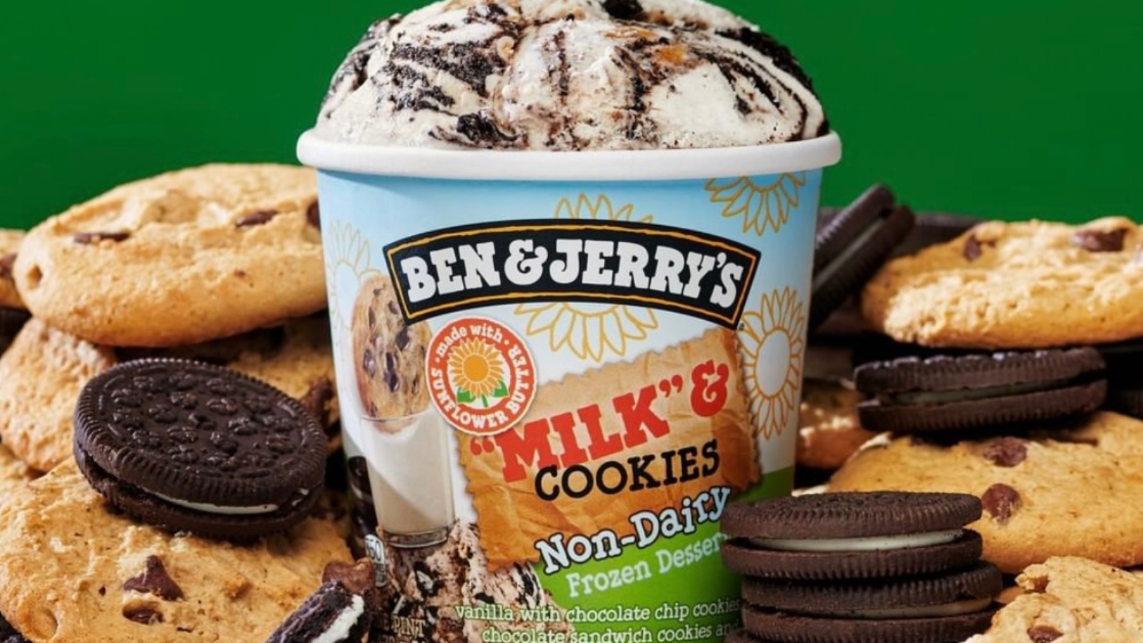 The Ultimate Guide To Ben And Jerry’s 21 Non-Dairy Flavors - Plant ...