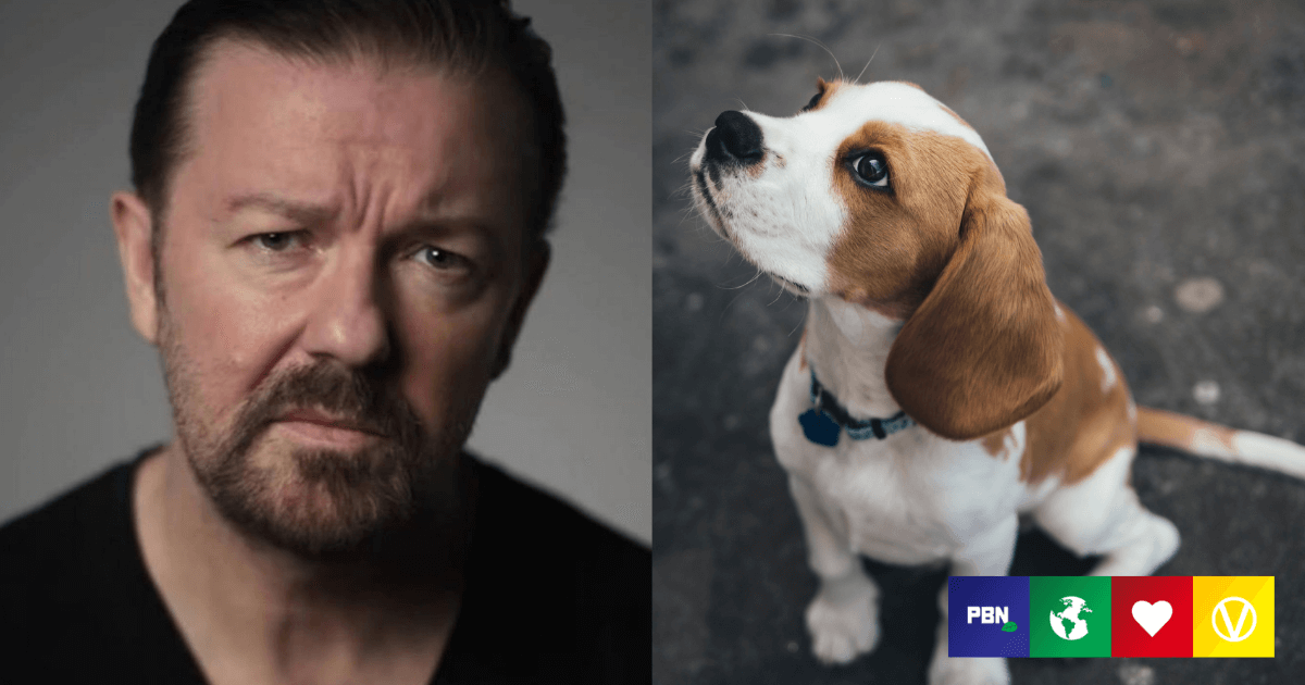 Ricky Gervais Calls For Ban On ‘Terrifying’ Animal Testing In The UK