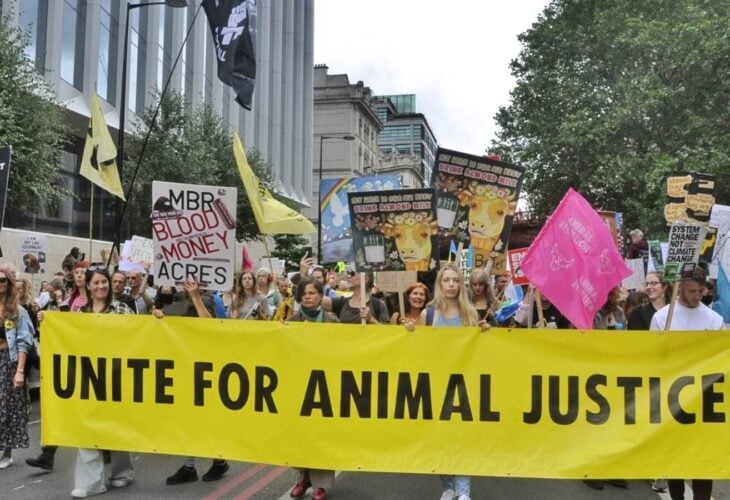 Animal freedom justice movement march in london