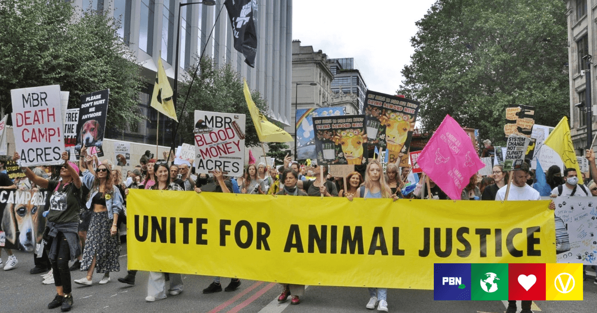 Here’s Why There Are So Many Animal Freedom Protests Happening Right ...