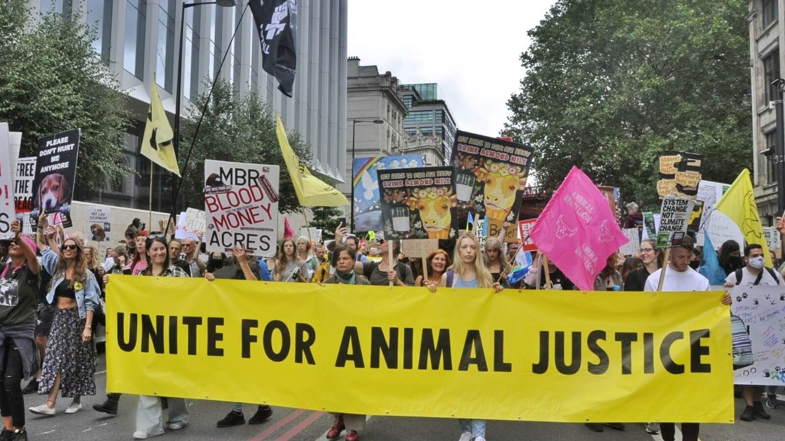 Here's Why There Are So Many Animal Freedom Protests Happening Right Now -  Plant Based News