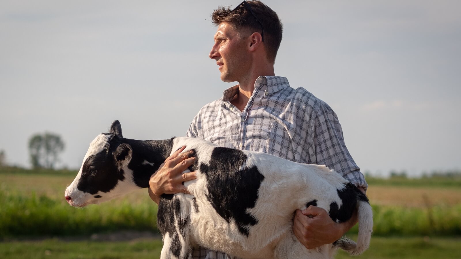 How Livestock Farmers Are Responding To The Rise Of Veganism - Plant Based  News