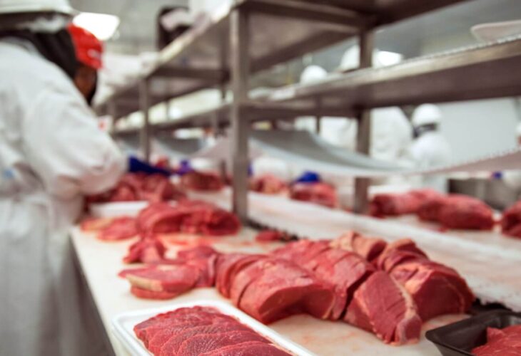 Meatpacking employees working on animal meat in a factory