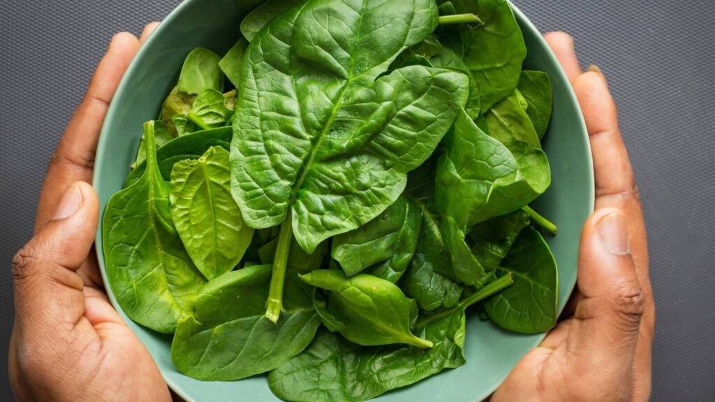 bowl of healthy nutritious spinach