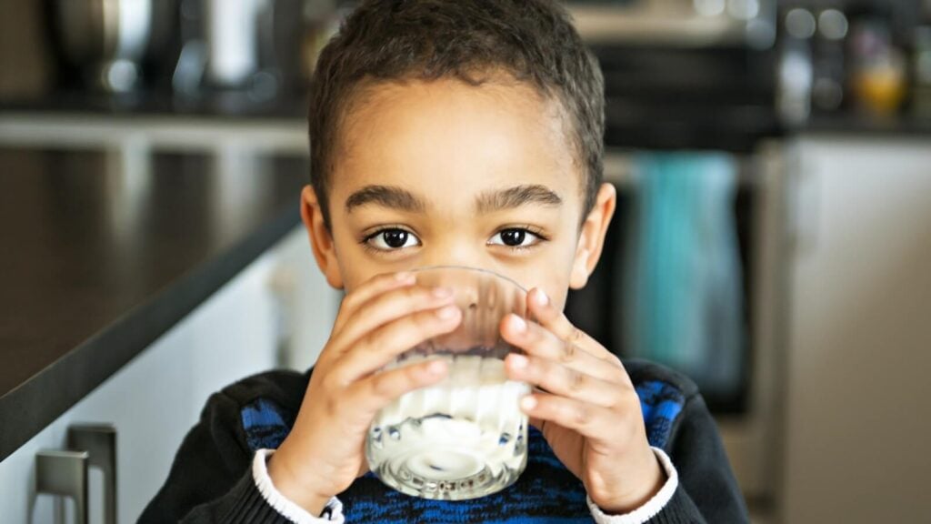 Child drinking cow's milk
