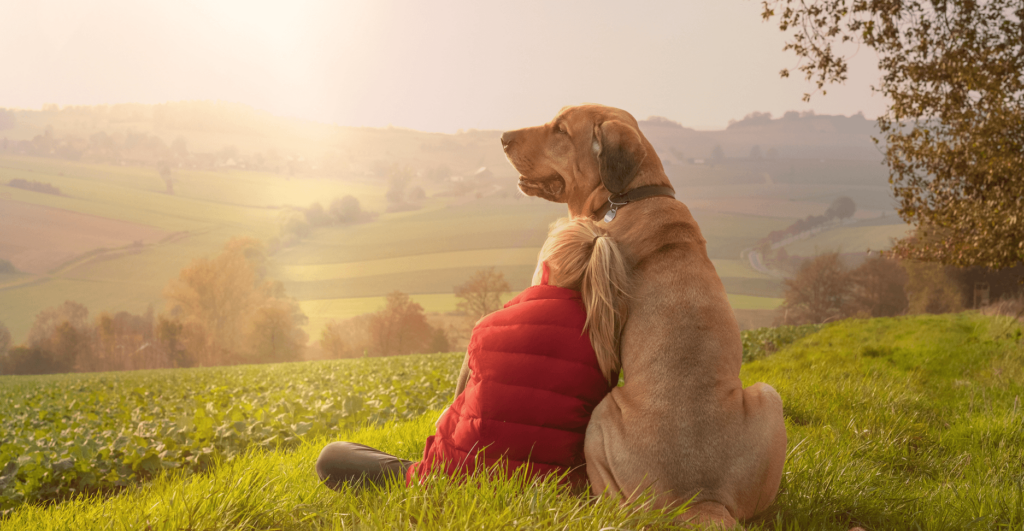 dog sitting with a little girl on a field