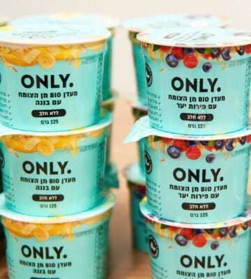 vegan dairy-free Yofix yogurt