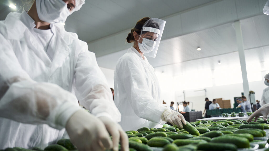 Global worker shortages are transforming the food industry, due to Brexit and COVID-19