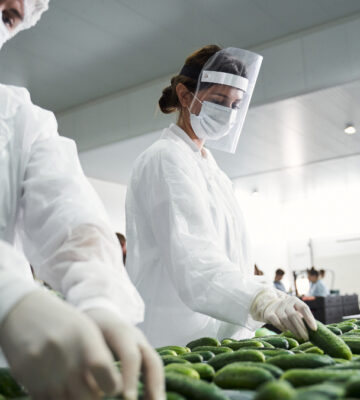 Global worker shortages are transforming the food industry, due to Brexit and COVID-19