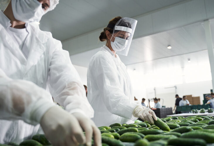 Global worker shortages are transforming the food industry, due to Brexit and COVID-19