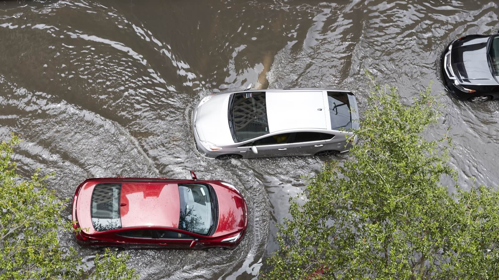 New York’s Deadly Flooding Is Linked To The Climate Crisis, Experts Say