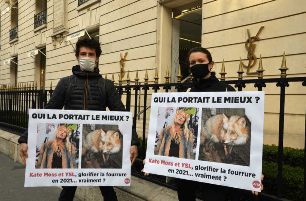 PETA Calls On Kate Moss To Stop Wearing 'Cruel' And 'Outdated' Fur