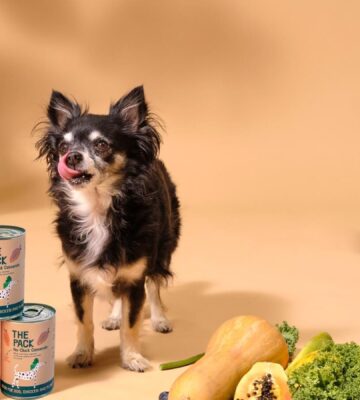 Plant-Based Dog Food Brand Champions Pet And Planet's Health