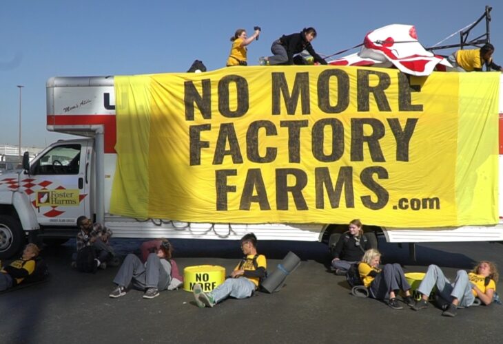 Protesters Block Slaughterhouse Which Supplies Poultry To Amazon And Chick-fil-A
