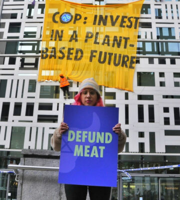 Animal Rebellion climb Defra building in COP26 protest