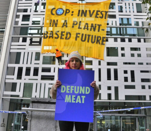 Animal Rebellion climb Defra building in COP26 protest