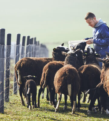 EU adopts Farm to Fork strategy in plant-based shift