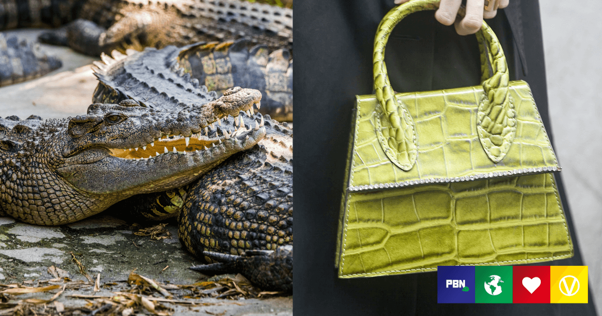 Hermès Urged To Ditch Crocodile Skin Due To 'Horrendous' Animal Cruelty -  Plant Based News