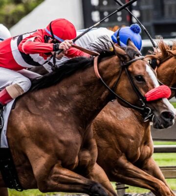 Australian Horse Racing Organization Faces Criminal Charges Over Animal Cruelty Allegations