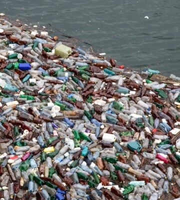 World’s Worst Corporate Plastic Polluter Coca-Cola Unveils Plant-Based Bottle