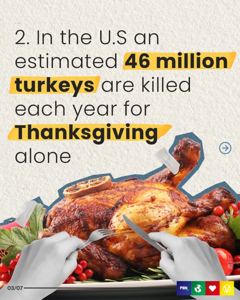 How Many Turkeys Are Eaten on Thanksgiving?