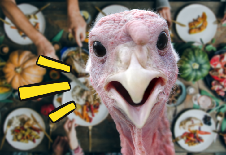 Vegan Thanksgiving memes