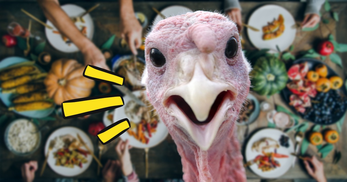 Vegan Thanksgiving memes