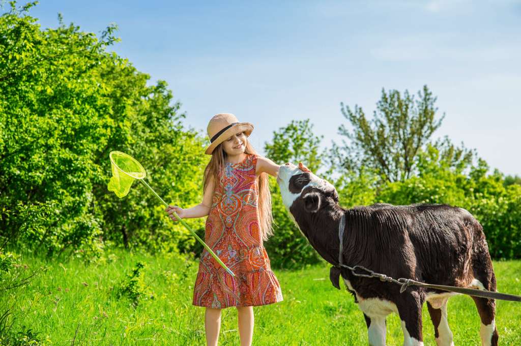 girl in green field with brown and white cow