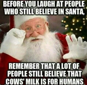 6 Vegan Christmas Memes To Keep You Smiling Through Dinner