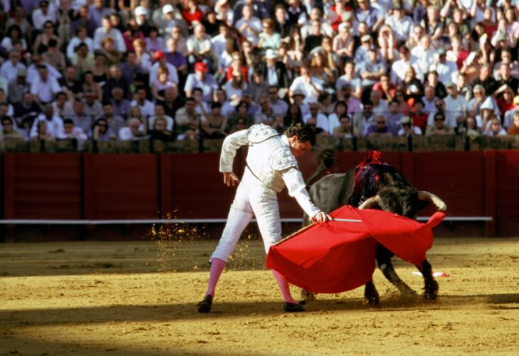 The Mexican state of Sinaloa has banned bullfighting, becoming the country's 5th