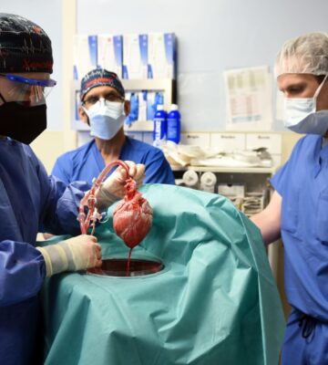 Man receives pig heart in live-saving transplant surgery