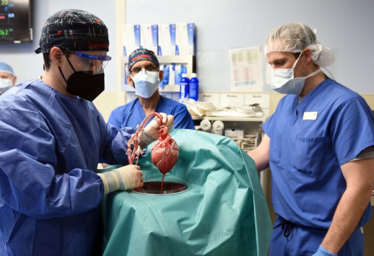 Man receives pig heart in live-saving transplant surgery