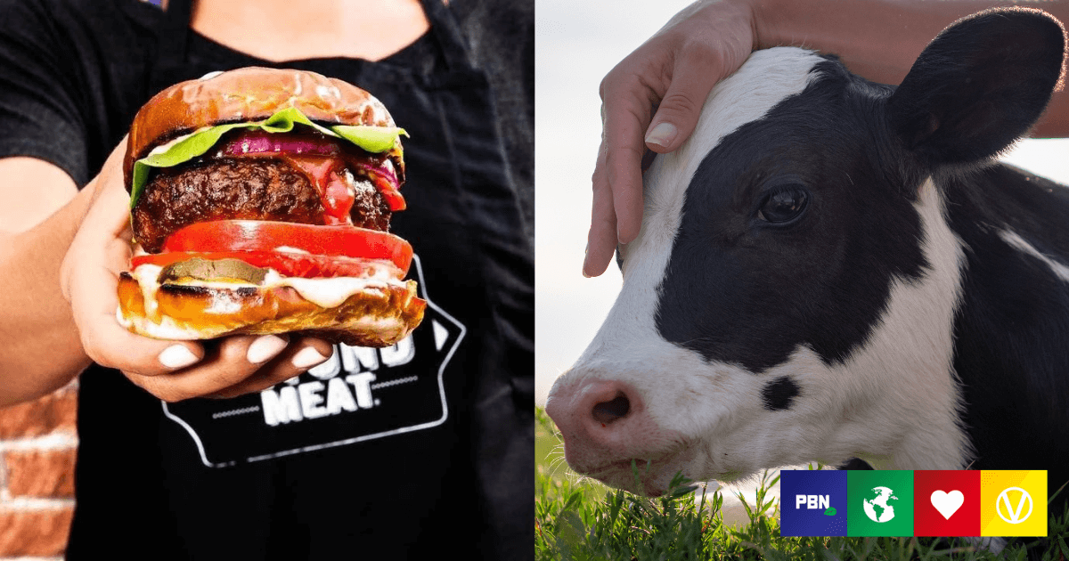 Beyond Meat And Impossible Foods Helped Save Nearly 1 Million Animals In  The US Last Year - Plant Based News