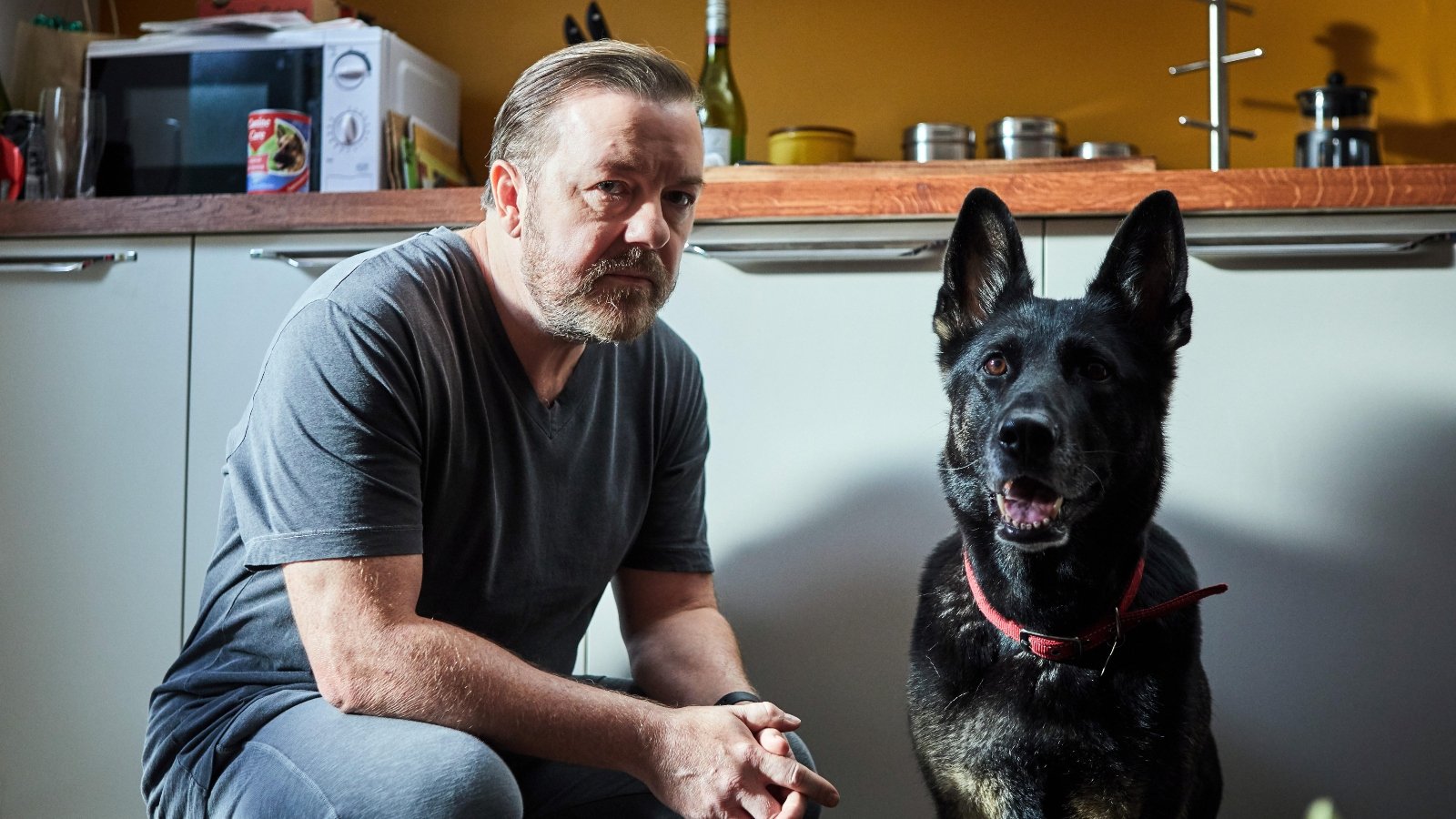 Animal Rights Advocate Ricky Gervais Finally Reveals He Is Vegan - Plant  Based News