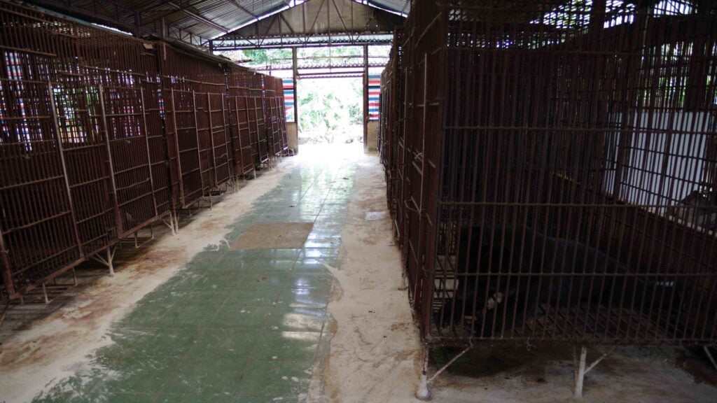 A bear bile farm in Vietnam, comprised of several metal cages where bears spend their lives to produce bile