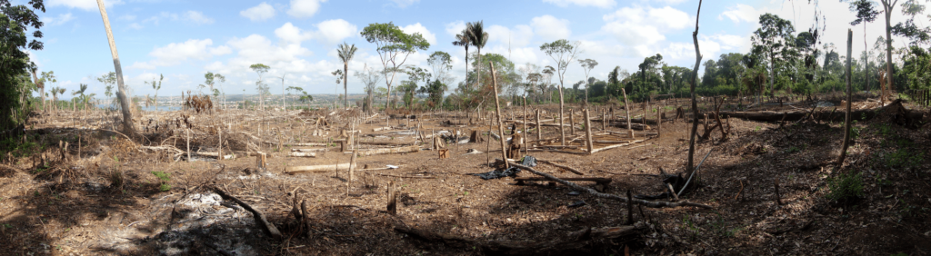 Deforestation in the Amazon rainforest