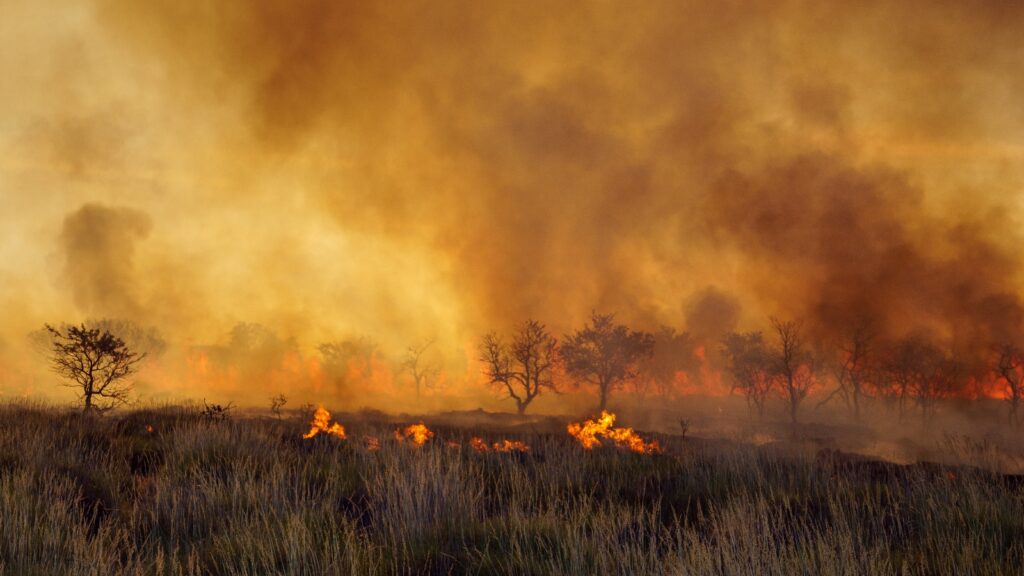 Bush fire in Western Australia