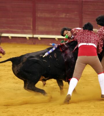 Bullfighting in Portugal