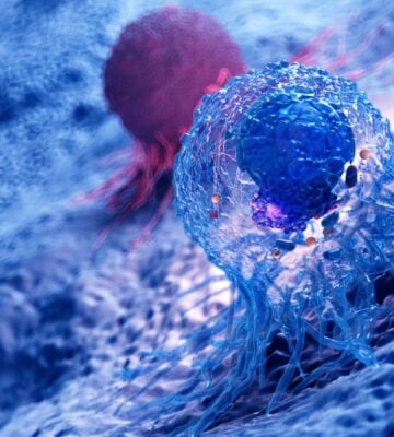 A 3d rendered illustration of the anatomy of a cancer cell