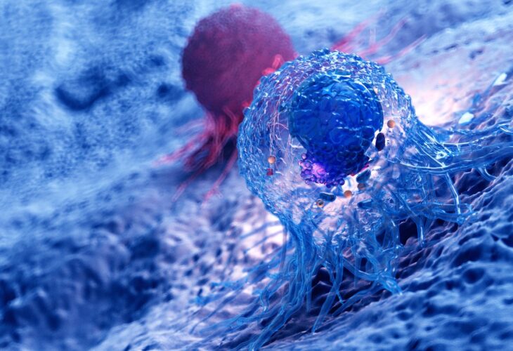 A 3d rendered illustration of the anatomy of a cancer cell