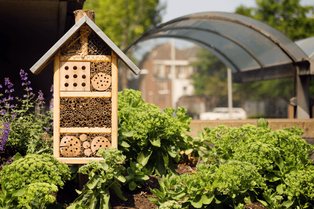 hotel for bees and other insects in a garden